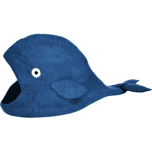 Abri Baleine Bleu
