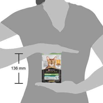 Adult Sterilized Maintenance Chicken in Sauce