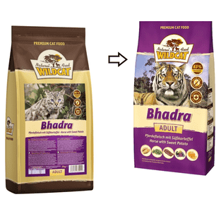 Adult Bhadra