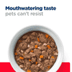 Feline Gastrointestinal Biome Stress Chicken Stew - Can