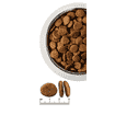 Gastro Dog Dry
