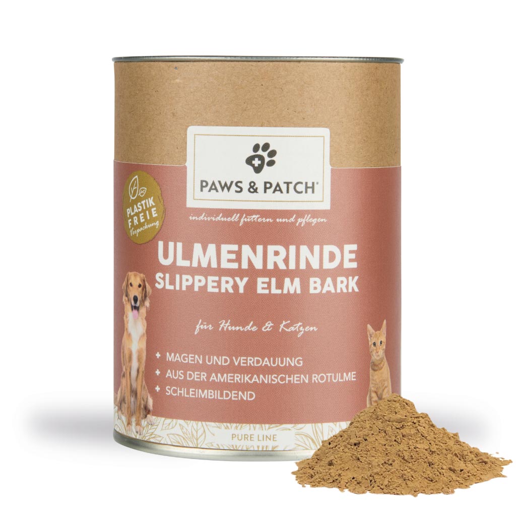 Ulmenrinde Pulver