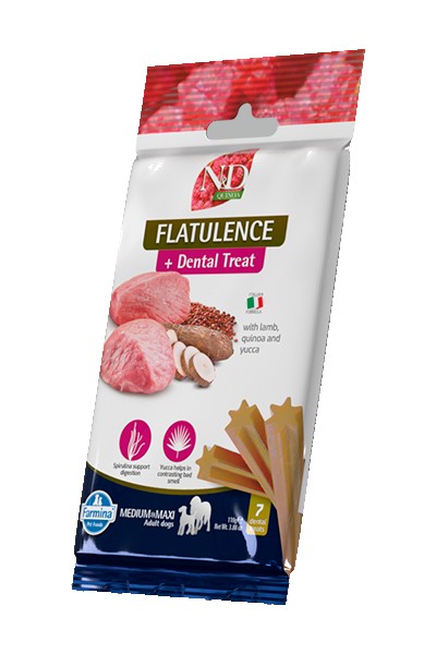 Canine Adult Medium/Maxi Quinoa Flatulence - Dental Treat