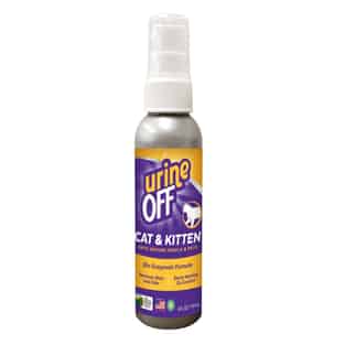 Urine off cat