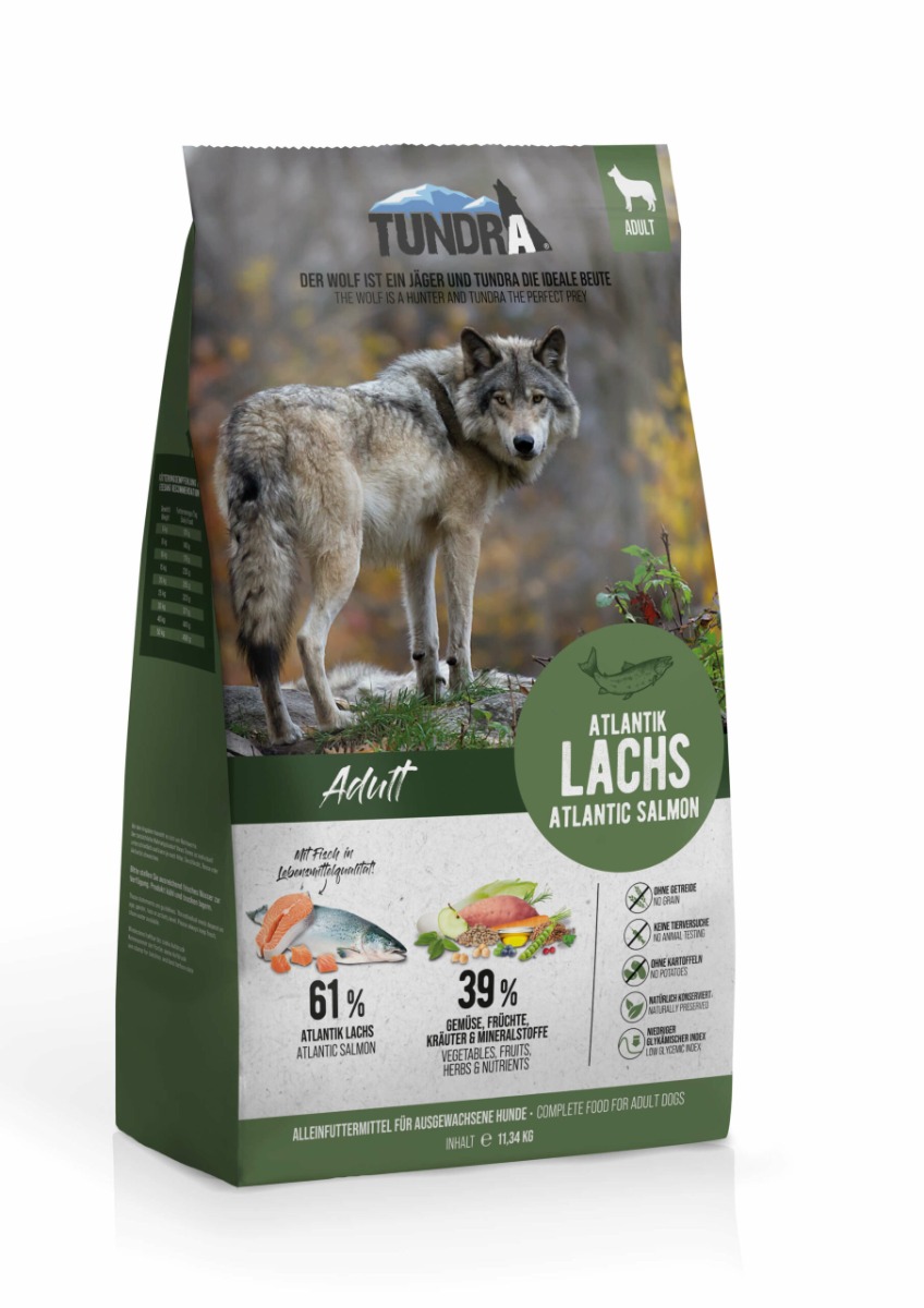 Dog Atlantic Salmon