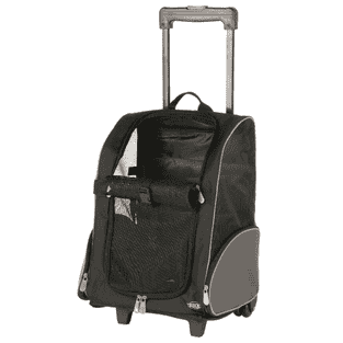 Trolley, hoch