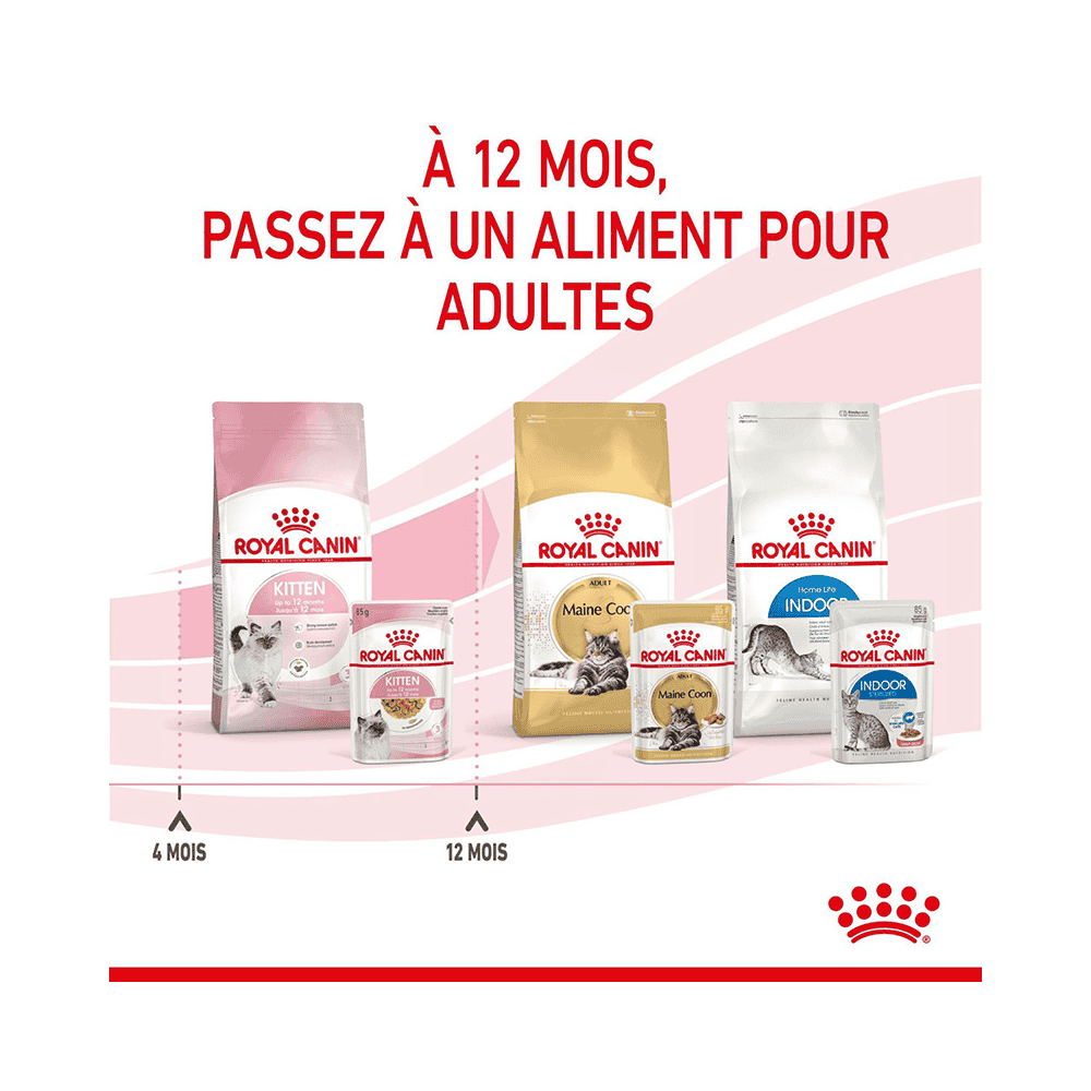 Kitten en gelée - sachet