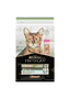 STERILISED ADULT Renal Plus Salmon
