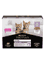 Kitten Healthy Start Truthahn