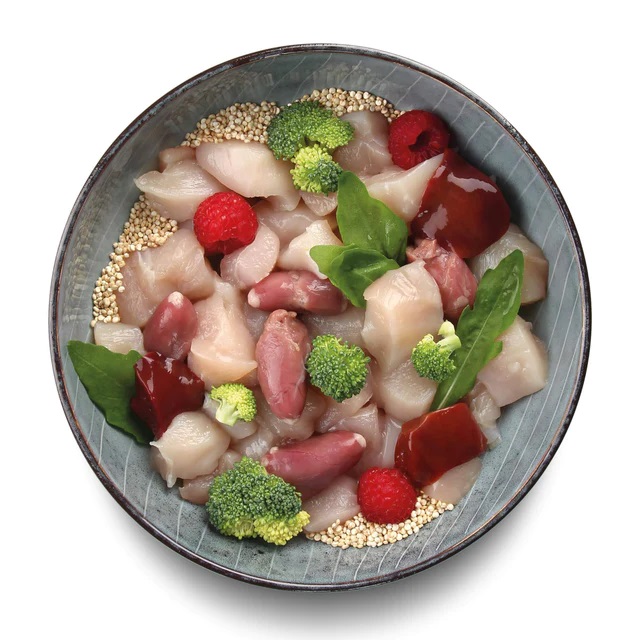 Adult Mini Chicken with Quinoa