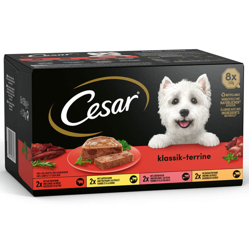 Cesar Klassiker in Terrine online kaufen iPet.ch