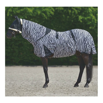 Ekzemerdecke Zebra