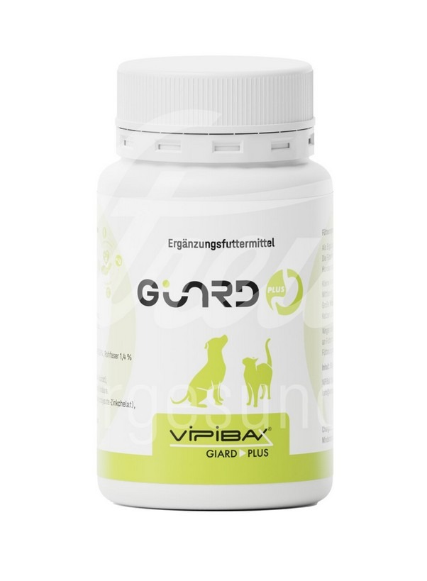 Giard Plus