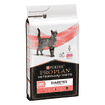 FELINE DM St/Ox Diabetes Management