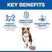 Canine Mature Adult 7+ - Can