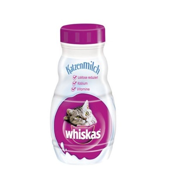 Cat Milk