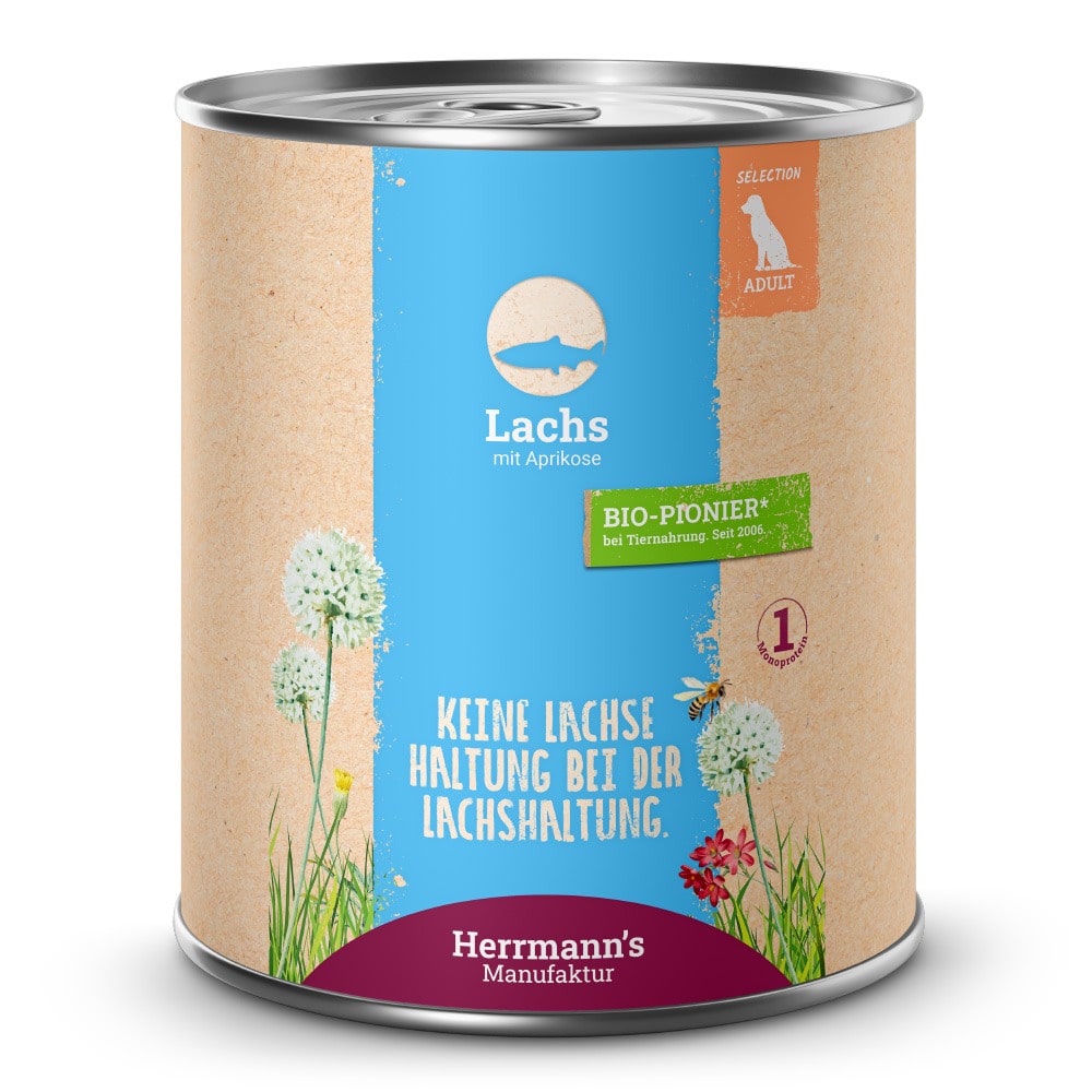 Selection Lachs mit Aprikose