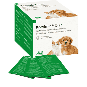 Korvimin Diar