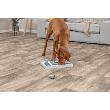 Dog Activity Chess