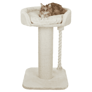 Arbre à chat XXL Klara