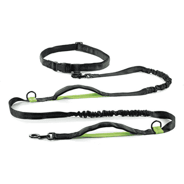 Joggingleine mit Gürtel