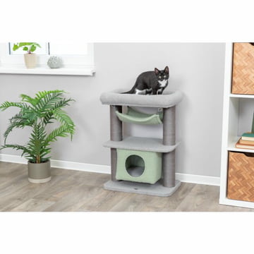 Junior cat scratcher Lunito