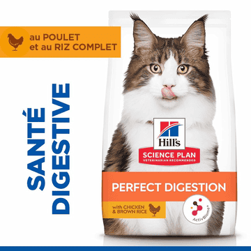 Feline Perfect Digestion