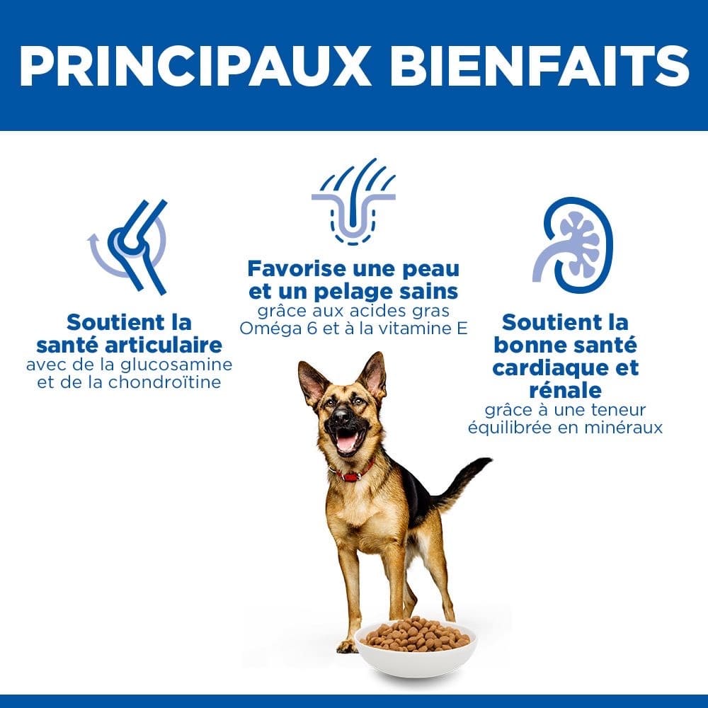 Canine Mature Adult 6+ Large Breed