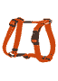 Harnais pour chien Utility orange