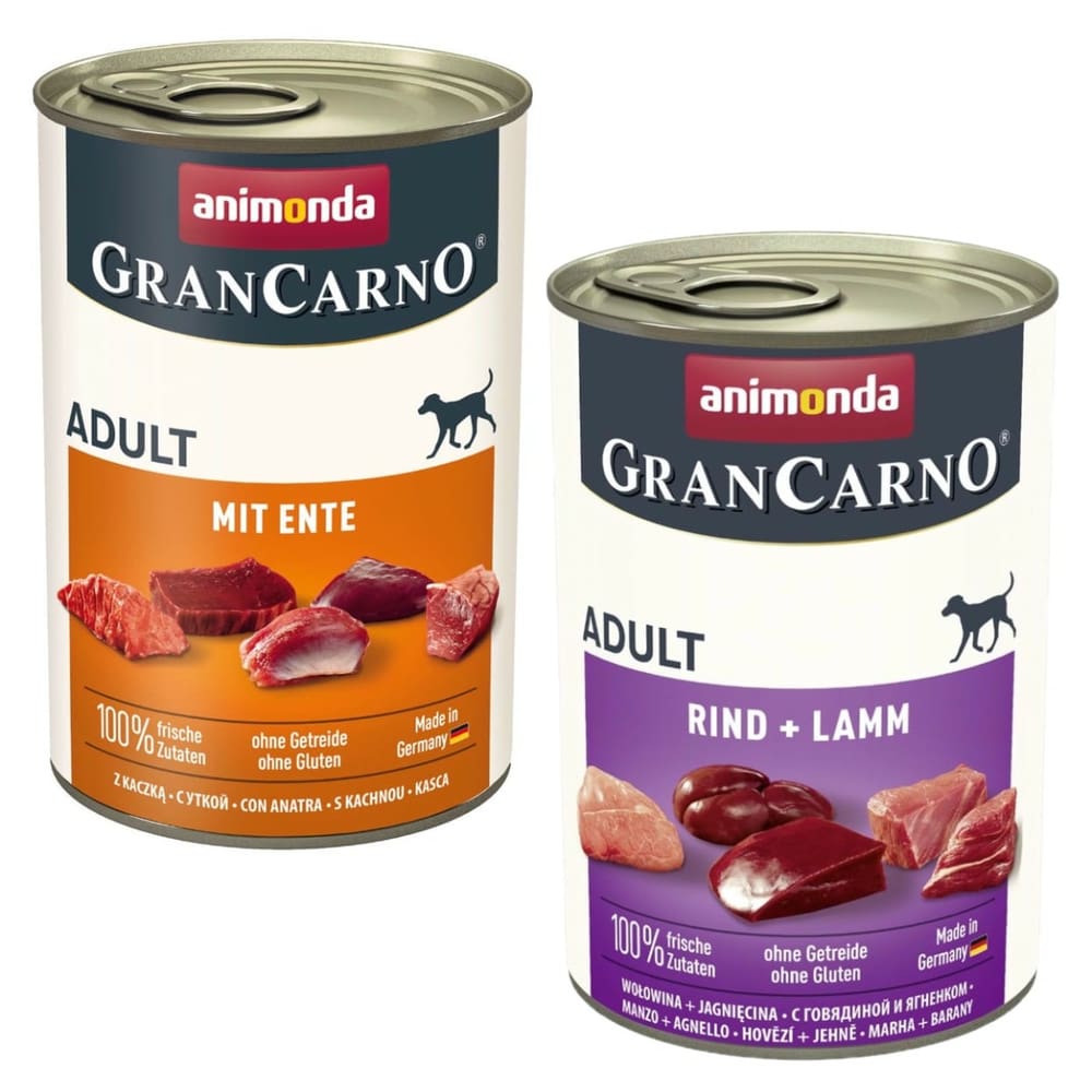 GranCarno Adult