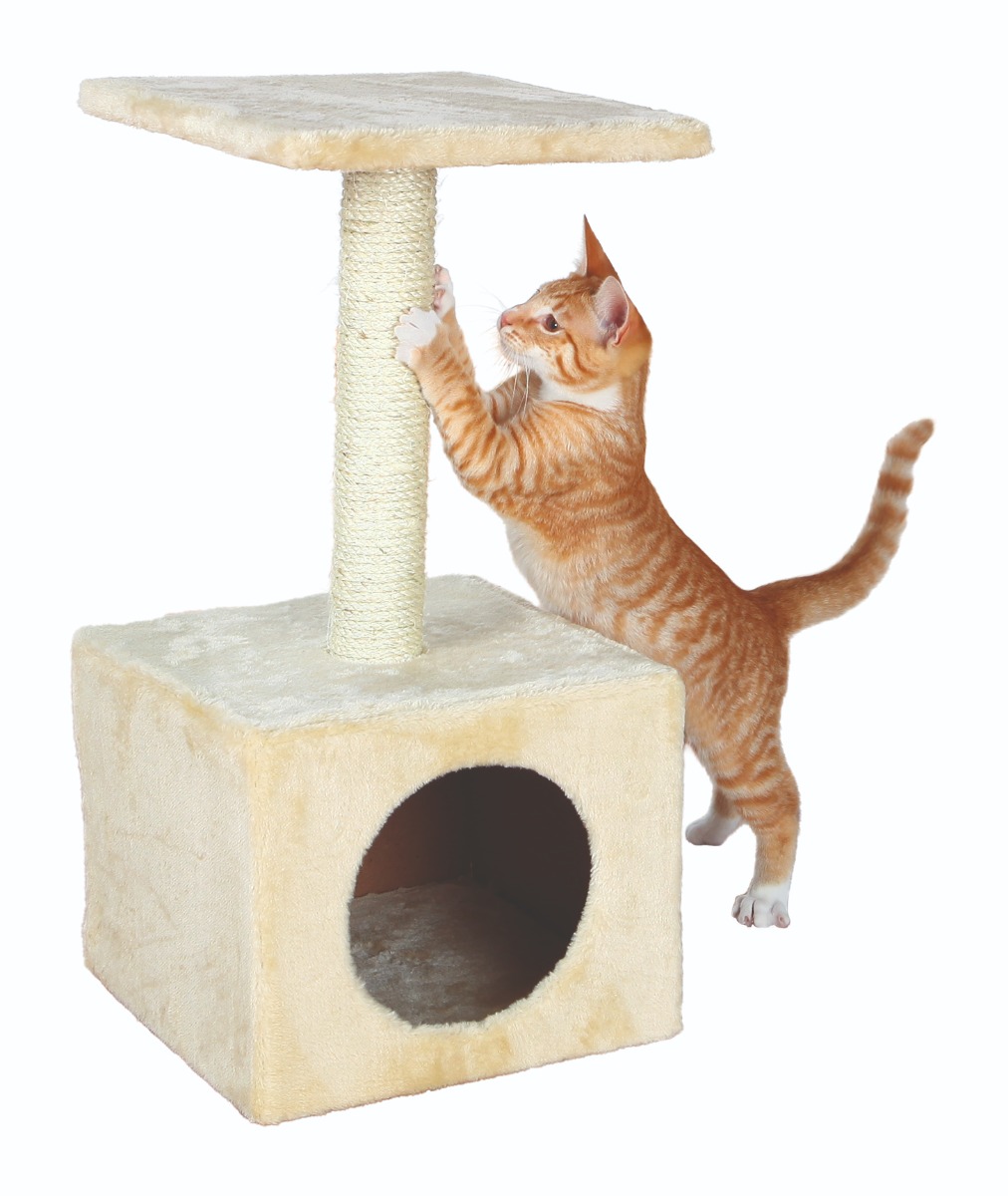 Zamora cat scratcher