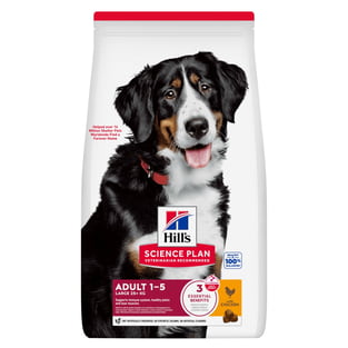 Canine Adult Large Breed Chicken