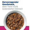 Canine Gastrointestinal Biome Stew - Dose
