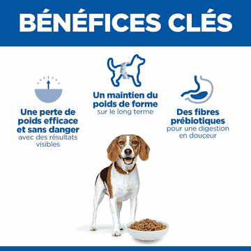 Canine Adult Perfect Weight Medium Breed