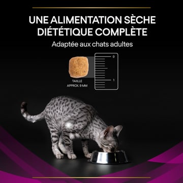FELINE UR St/Ox Urinary
