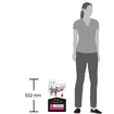 FELINE UR St/Ox Urinary