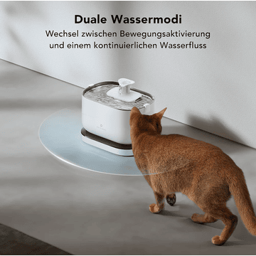 Dockstream kabelloser Trinkbrunnen