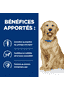 Canine j/d Mobility - en boîte
