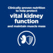 Feline k/d Kidney Care Chicken - Fresh pouches