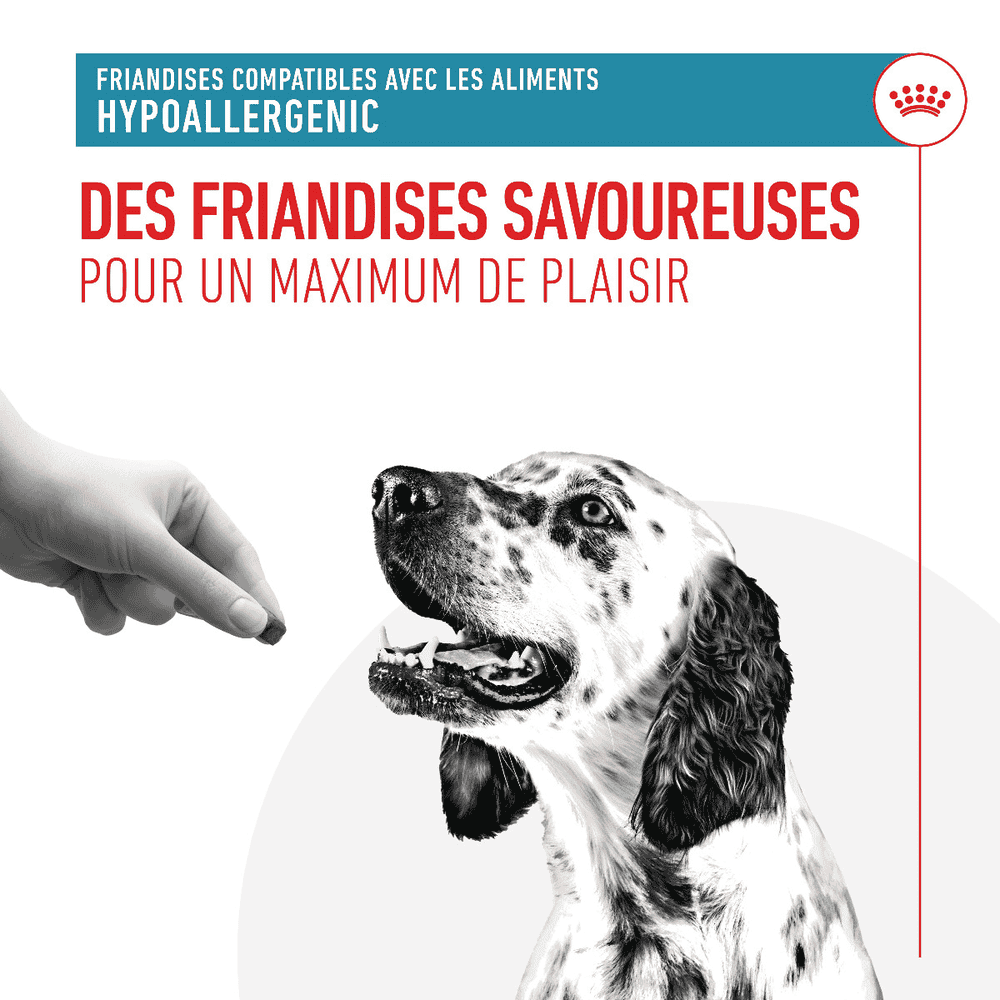 Hypoallergenic Treats