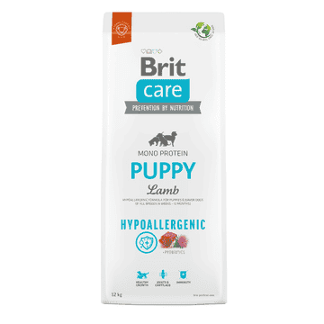 Care Dog Puppy - Lamb - Hypoallergenic