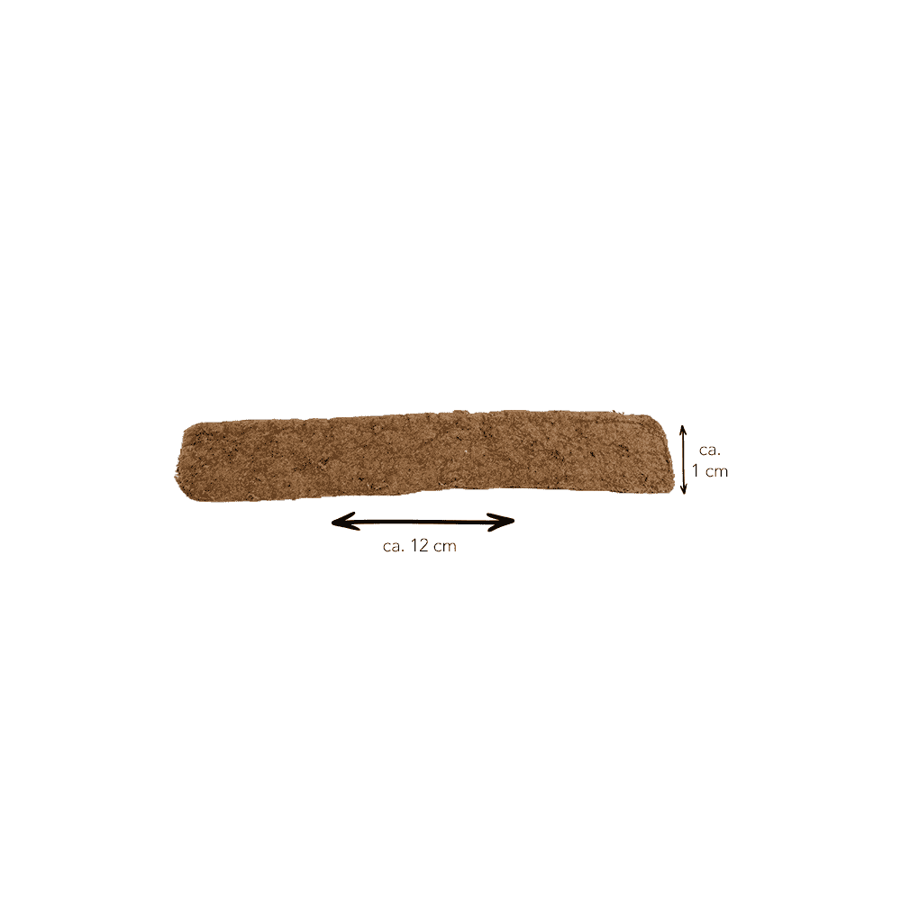 Dental Stick Cerf