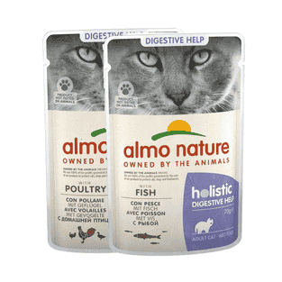Holistic Digestive Help