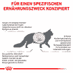 Hepatic Cat