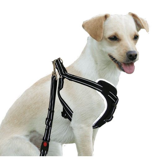 Sicherheitsgeschirr DogSafe für Hunde