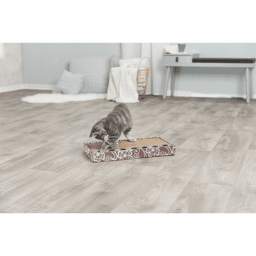 Kratzpappe mit Spielzeug & Katzenminze