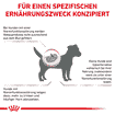 Renal Small Dog