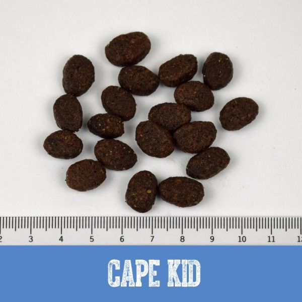 Cape Kid Puppy Large Turkey &amp; Salmon