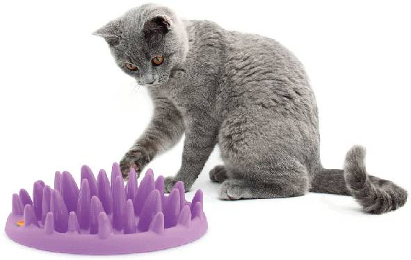Green Slow Cat Feeder