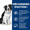 Canine t/d Detal Care